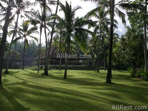 ALiLa Manggis boutique 42